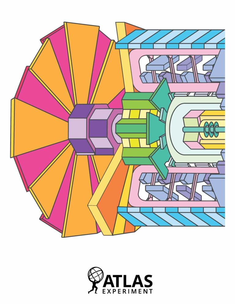 back of coloring book