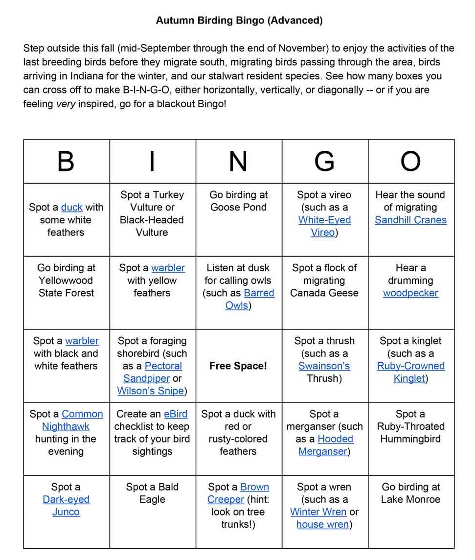 A bingo card with challenges for advanced birdwatching.