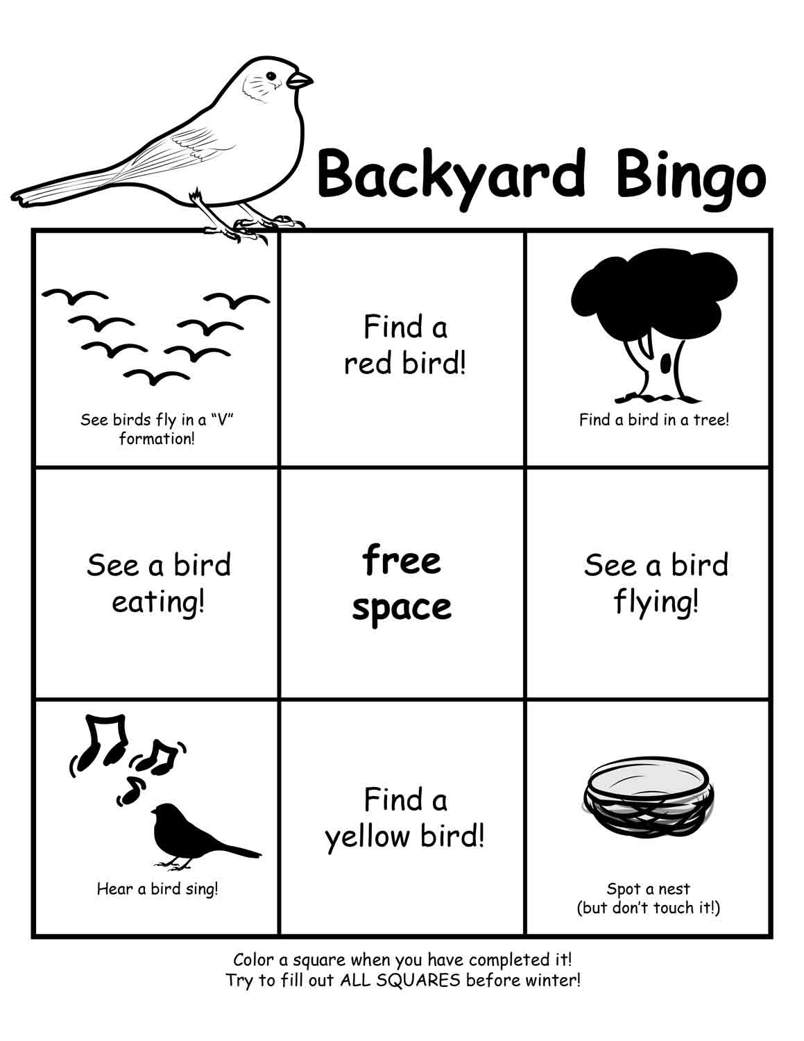 A black and white bingo card with bird-related activities.
