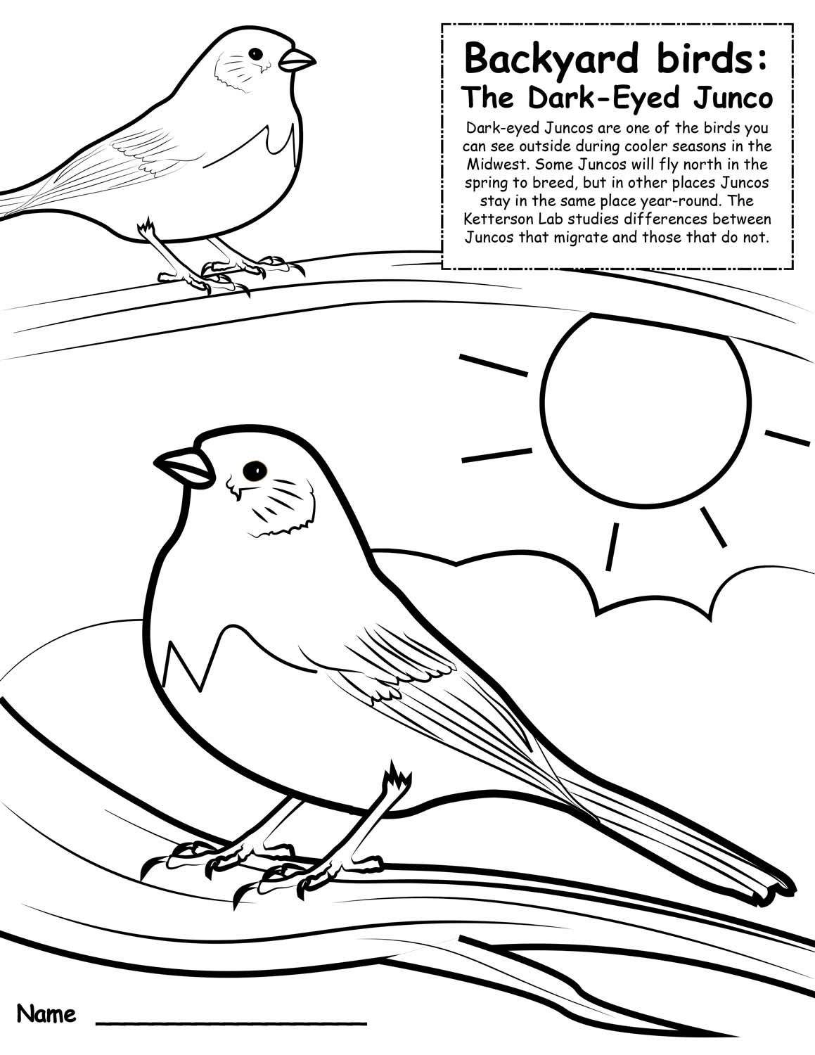 black and white coloring book page of 2 birds
