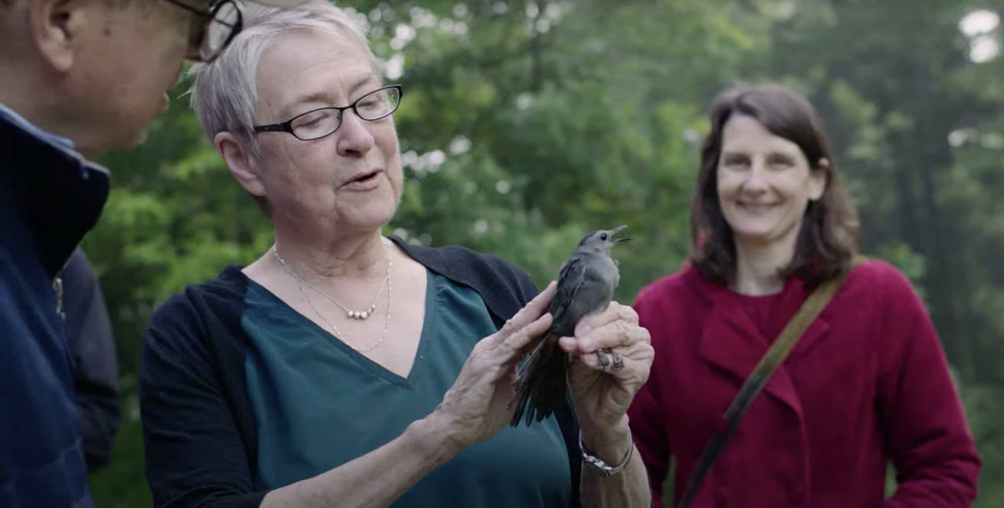 Ornithologist Ellen Ketterson holding a small gray bird.