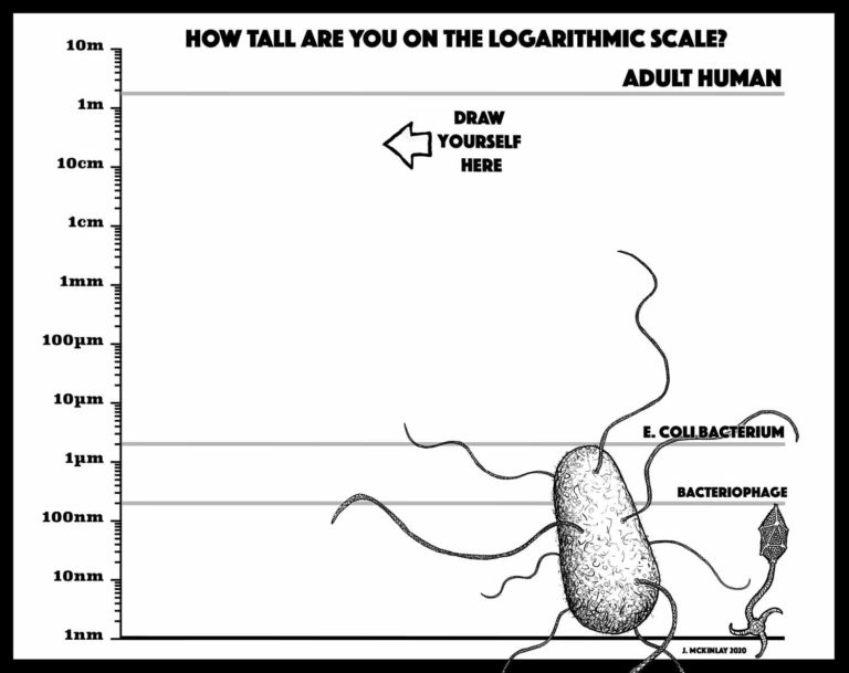 An educational drawing page showing a logarithmic scale of size.