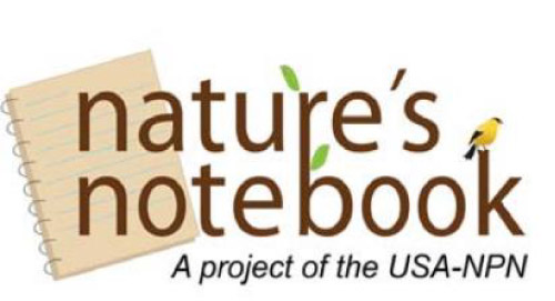 nature's notebook logo - a project of the USA-NPN