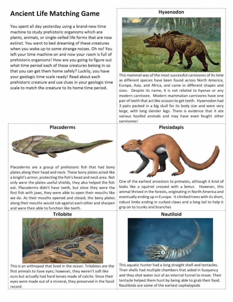 A set of matching cards with illustrations and descriptions of ancient animals.