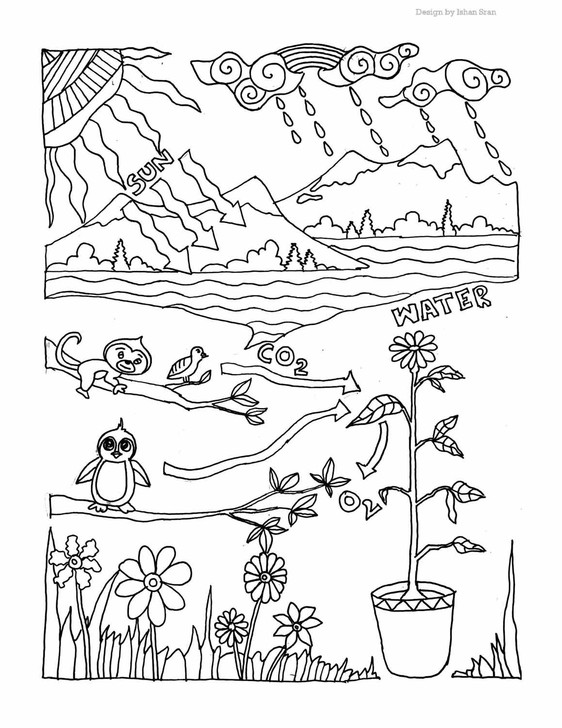 A coloring page illustrating the process of photosynthesis.