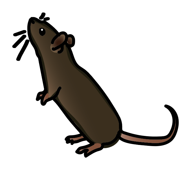 brown mouse drawn image with black whiskers