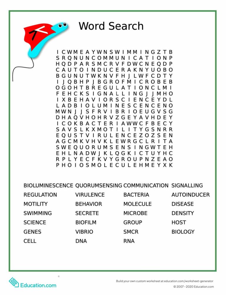 word search with multiple word options