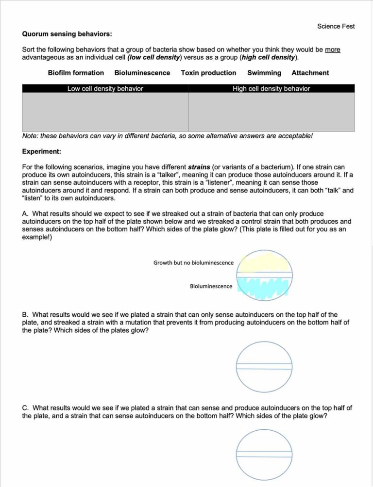 bacterial worksheet