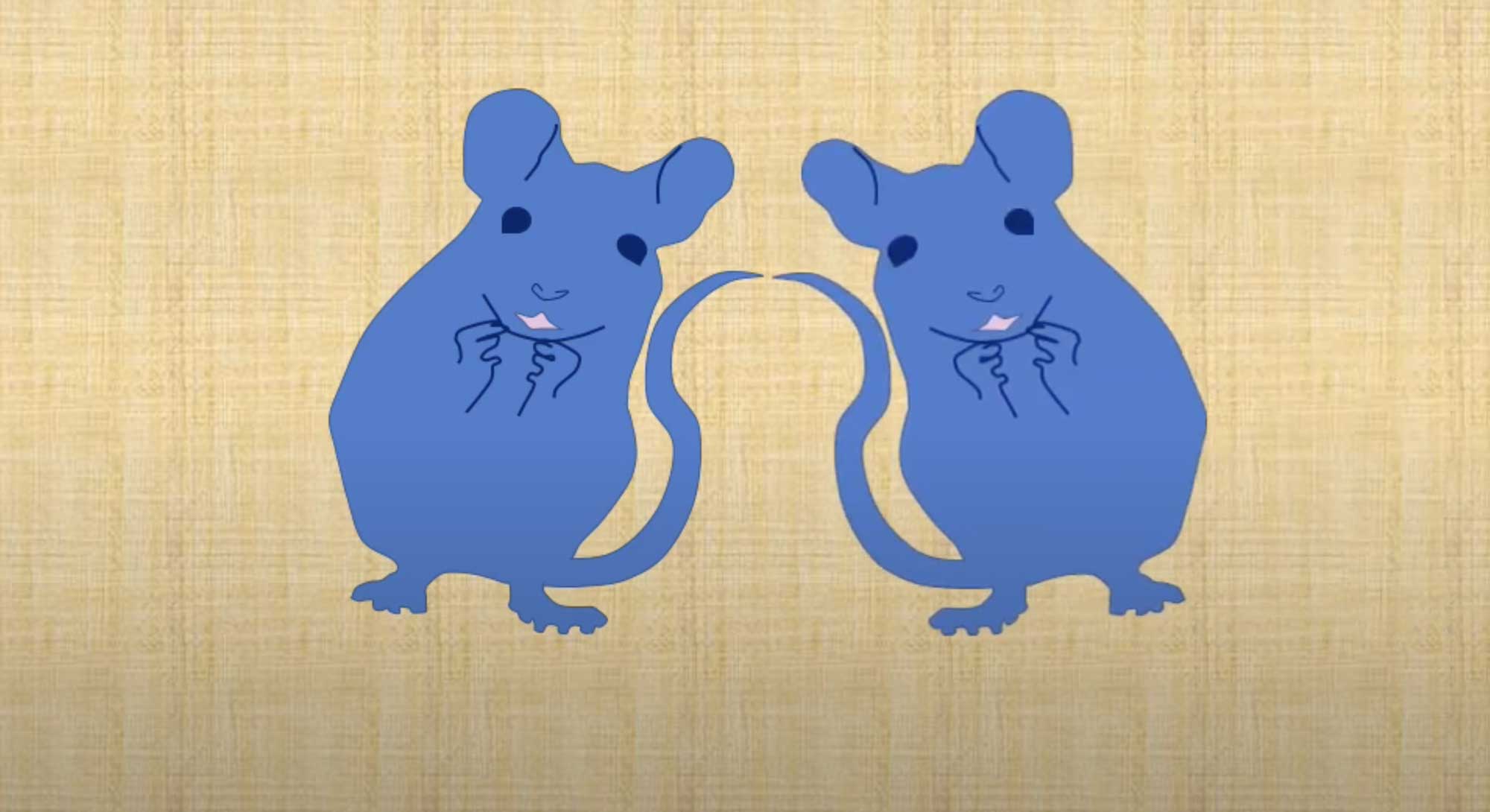 two blue mice on yellow background