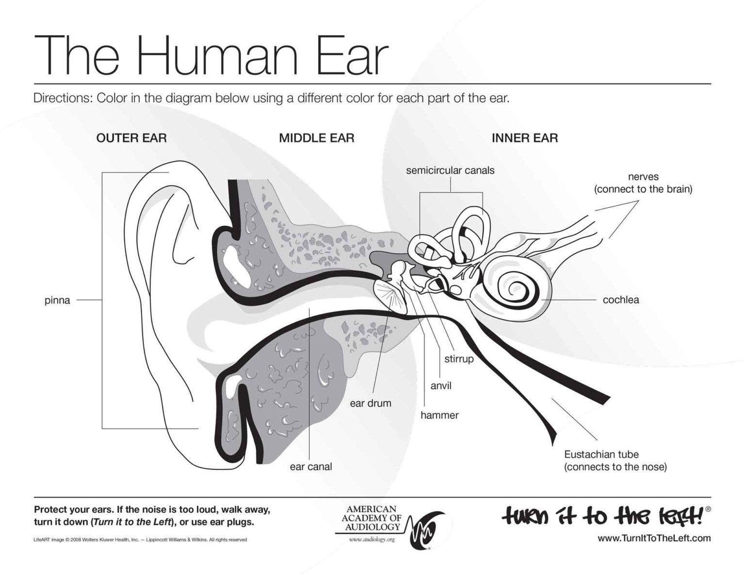 Speech & Hearing Coloring Pages – Science Fest