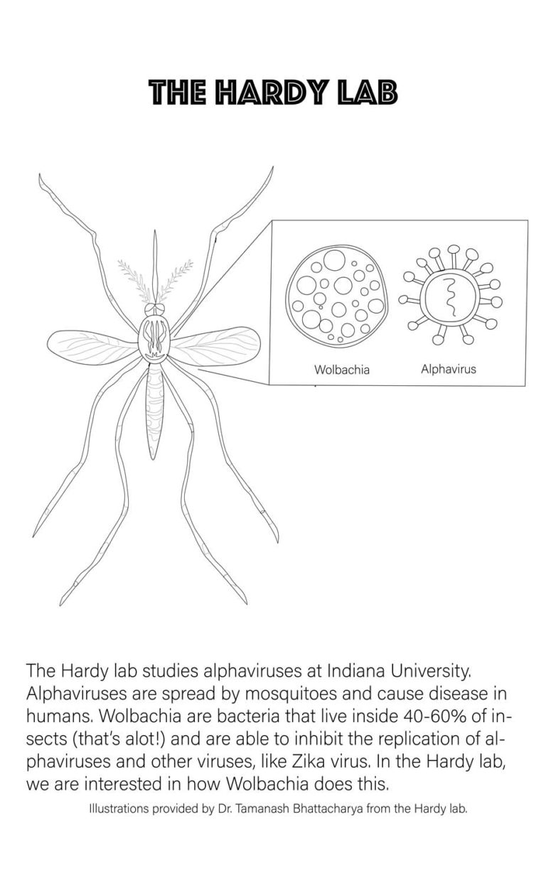 Microbiology Coloring Pages Science Fest