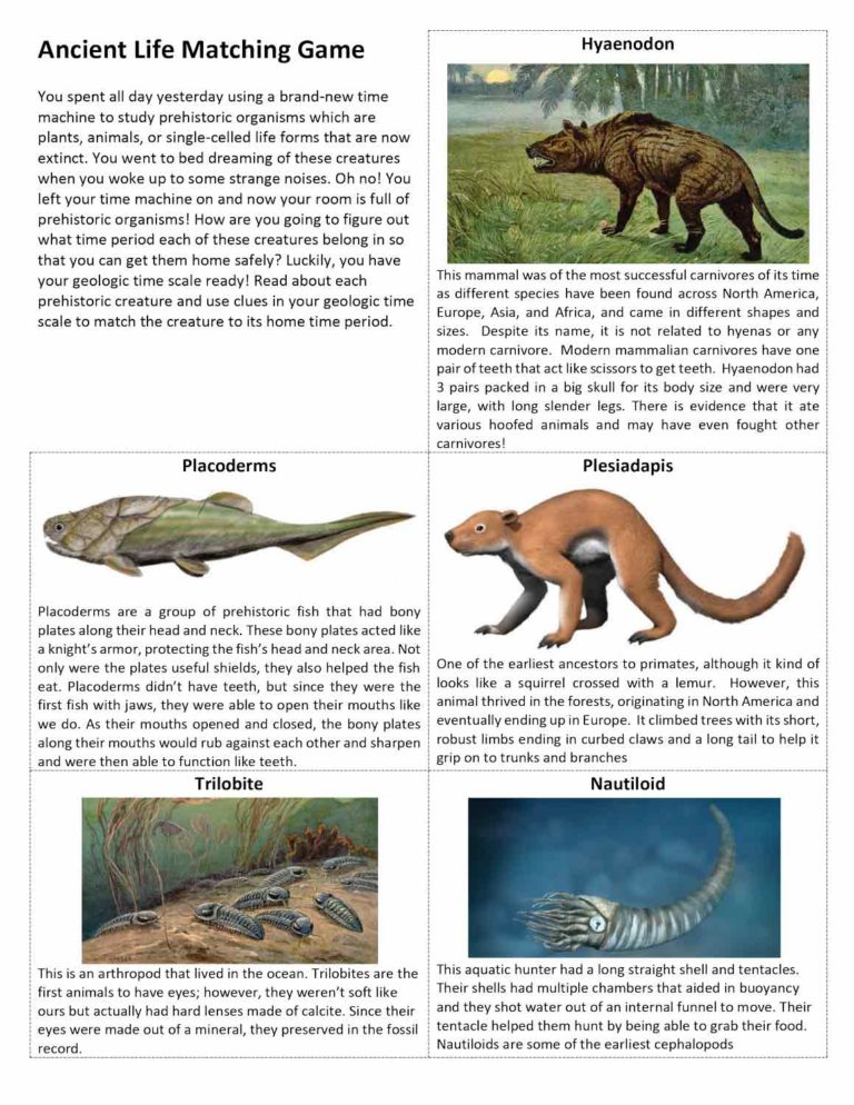 Geologic Time and Paleontology Game – Science Fest