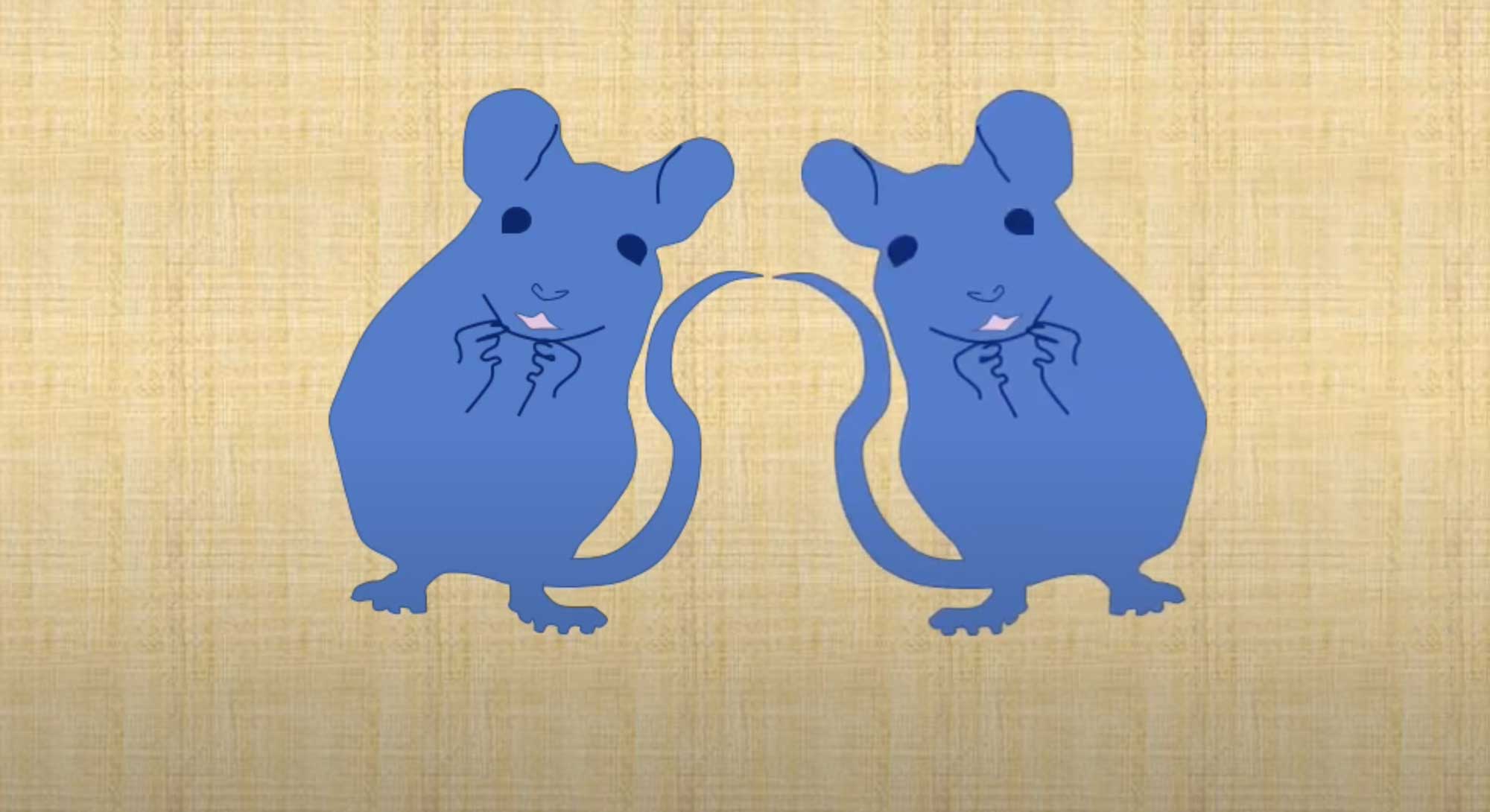 The Secret Language of Mice:  Introduction
