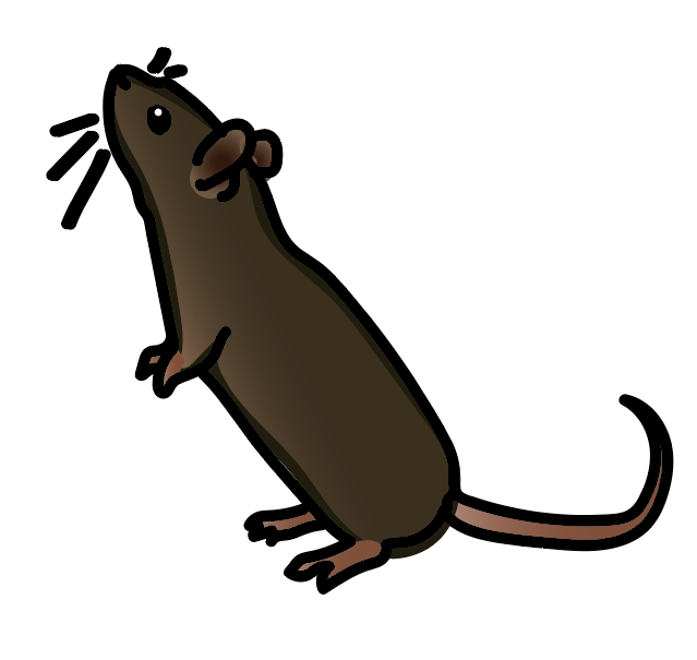 illustration of mouse standing on its back legs